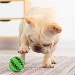 Zahnpflegeball 5cm für kleine bis mittlere Hunde