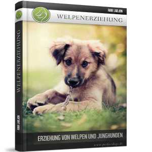 Welpenerziehung - Erziehung für Welpen und Junghunde