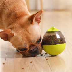 Eat and Play Futter Ei Food Dispenser